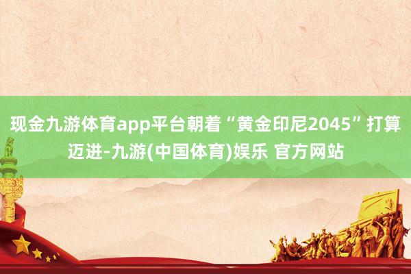 现金九游体育app平台朝着“黄金印尼2045”打算迈进-九游(中国体育)娱乐 官方网站