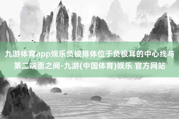 九游体育app娱乐负极排体位于负极耳的中心线与第二端面之间-九游(中国体育)娱乐 官方网站