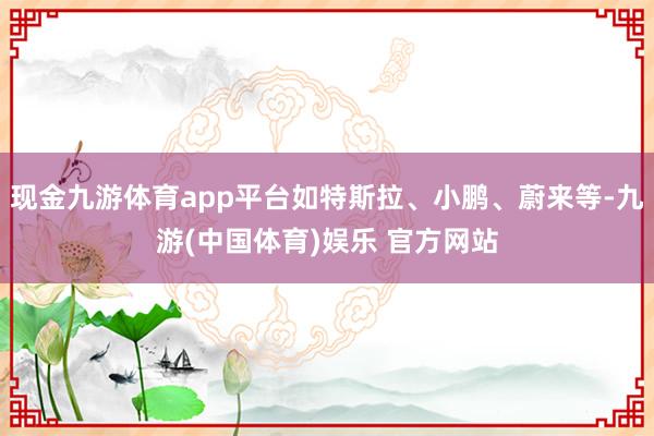 现金九游体育app平台如特斯拉、小鹏、蔚来等-九游(中国体育)娱乐 官方网站